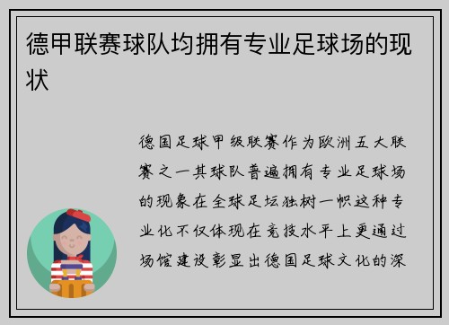 德甲联赛球队均拥有专业足球场的现状